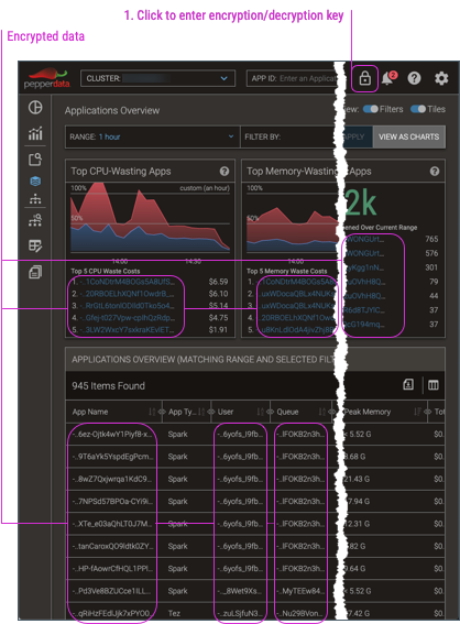 Screenshot of Applications Overview with encryption key entry